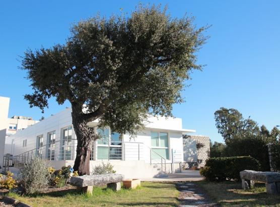 Reunione custruttiva per a maternità di l'Ospedale