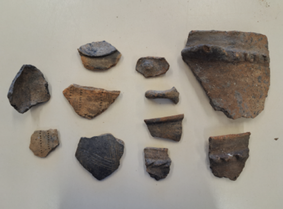 Scuperta archeologica in Brancale (Monte)