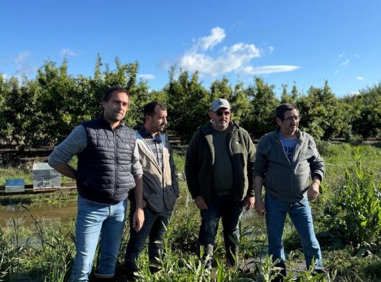  Nova piena di u Golu : addisperu di l’ortulani