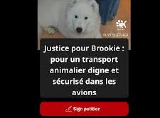 A petizione per Brookie riunisce più di 15 000 signature