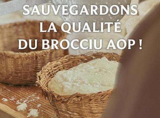 L’associu Casgiu Casanu contru una mudifica di u quaternu di e cariche di l’AOP Brocciu