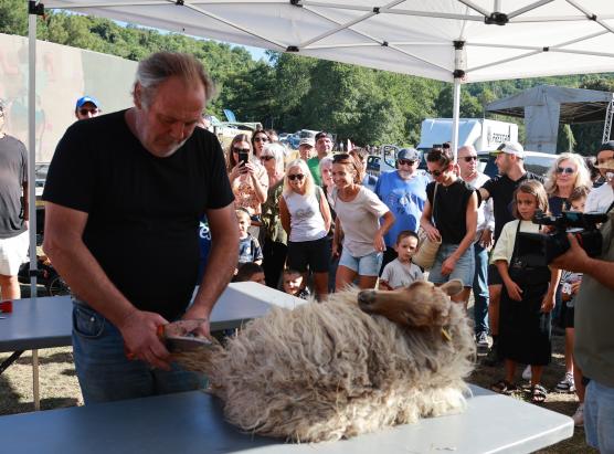 Autentica fiera di u Pratu 