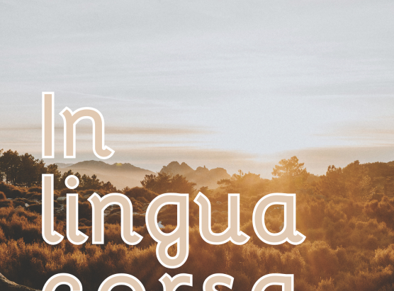 U parlà pumuntincu messu in risaltu nant’à u situ di Zonza Santa Lucia