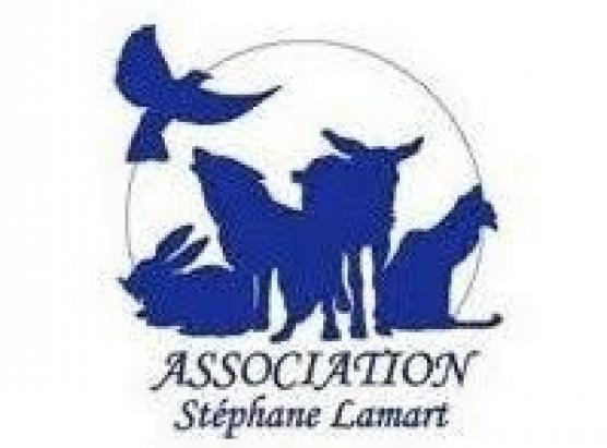 Un associu pone lagnanza per u crimine animale di Casalabriva