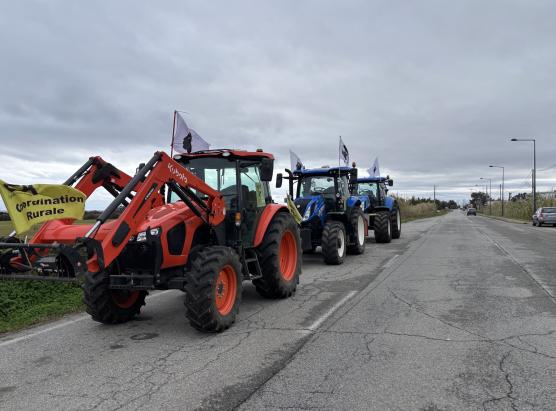 A cuurdinazione rurale di Corsica bluccata à u nordu di Marseglia