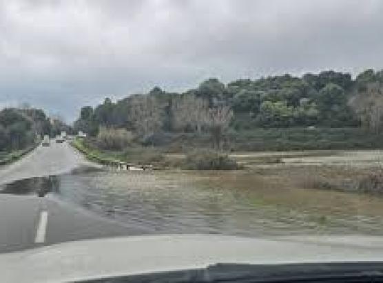 A vigilenza arancia prulungata  