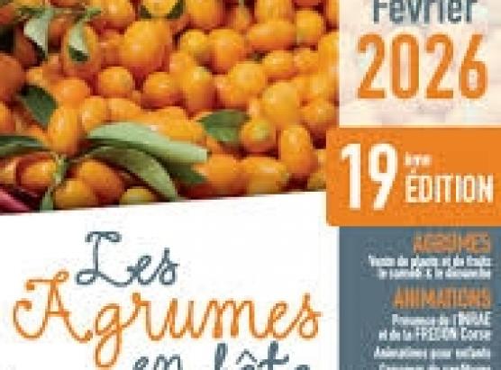 A festa di l’agrumi in Bastelicaccia