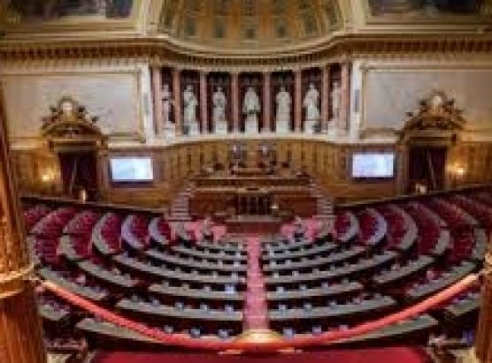 U testu di l’autunumia per a Corsica esaminatu di maghju à u Senatu