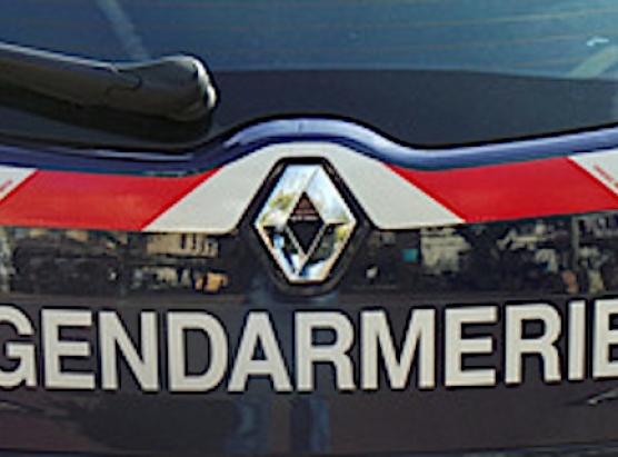 Duie lovie tombe nant’à una splutazione agricula in Lucciana