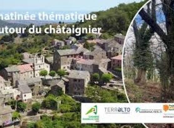 Maitinata pè fà campà u castagnetu corsu sabbatu l'11 d'aprile in Olmu 