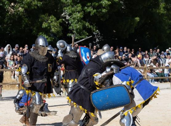 U béhourd, trà sportu medievale è patrimoniu culturale