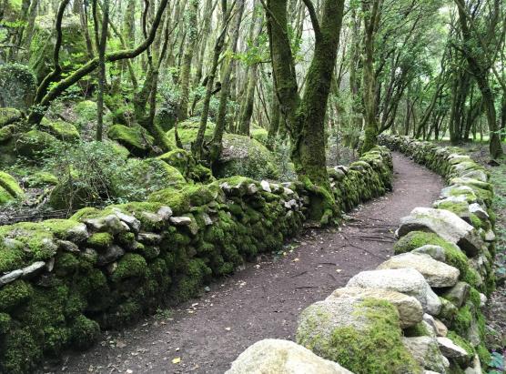 Sgradazione nant’à u caminu trà Livia à u situ di Cucuruzzu
