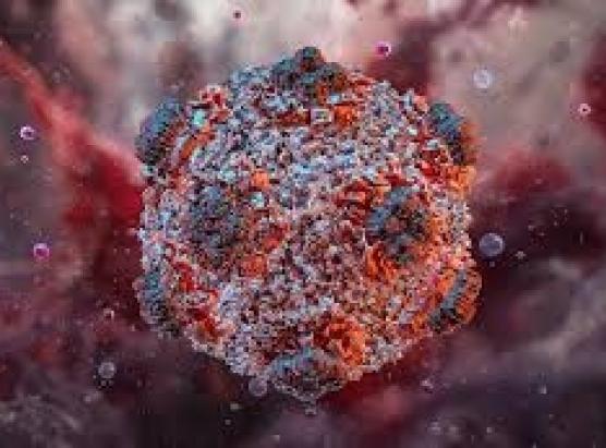 Hantavirus: un francese ripatriatu toccu da u siscu