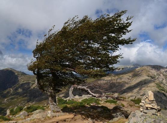 A Corsica in vigilenza gialla pè ventere