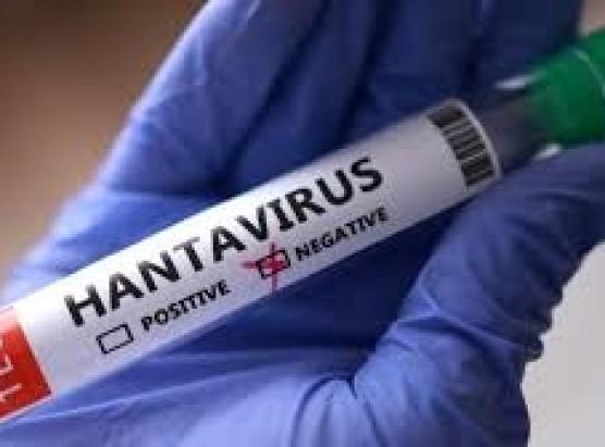 I casi cuntatti testati negativi à l’Hantavirus