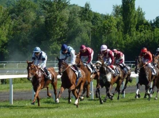 Dumenica di corsa di cavalli in Casatorra