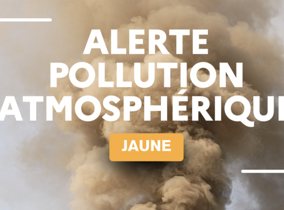 Pulluzione à e particule fine
