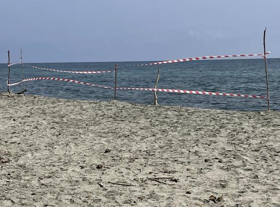 Un obusu  scupertu nant’à una marina in Alistru