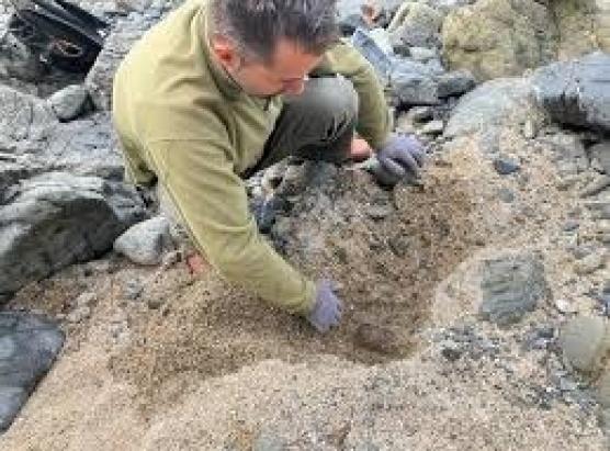 Munizione scuperte nant’à a marina d’Abbartellu