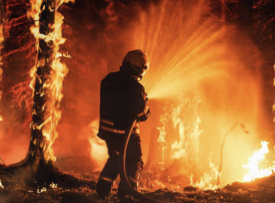 Incendi in Oletta è Biguglia