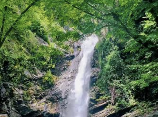 Caduta murtale in fiume di Pianellu