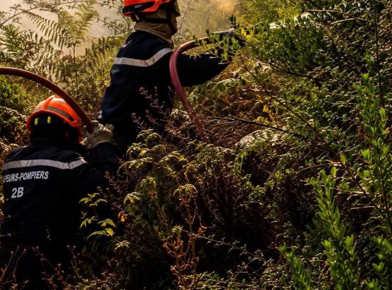 Incendiu novu in Corti