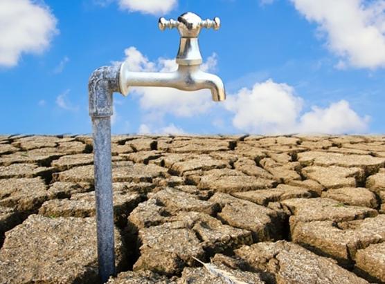 Forti calori è seccina d’eccezione in Cismonte
