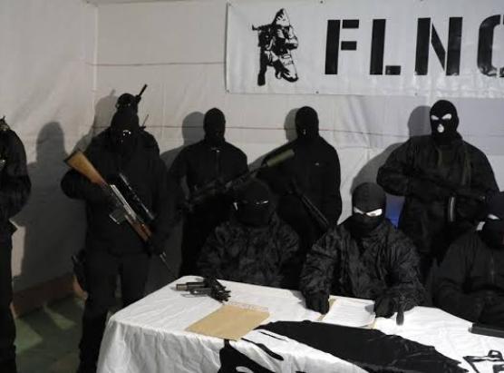 U FLNC Unione di i Cumbattenti sorte di u silenziu è pista u prughjettu d’autonumia