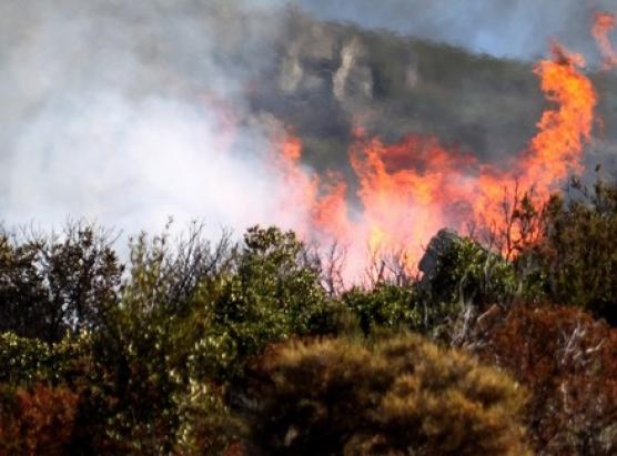 Incendii in Erbaghjolu, Zilia è Aleria
