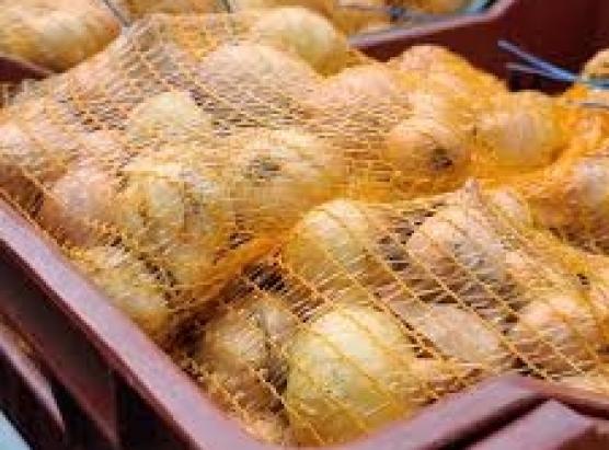A fiera di cipolla s’apre in Siscu