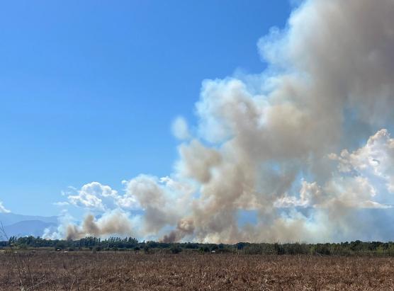 30 ettare distrutte da un incendiu in Aleria