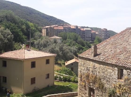 Un veiculu brusgiatu è u so pruprietariu ritrovu feritu in Santa Lucia di Tallanu