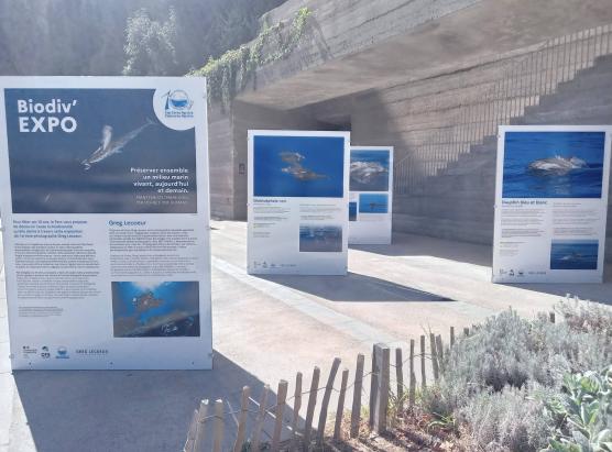 A mostra Biodiv’expo pè festighjà i 10 anni di u parcu marinu di Capicorsu è di l’Agriate à l’Aldilonda in Bastia sin’à u 3 di nuvembre