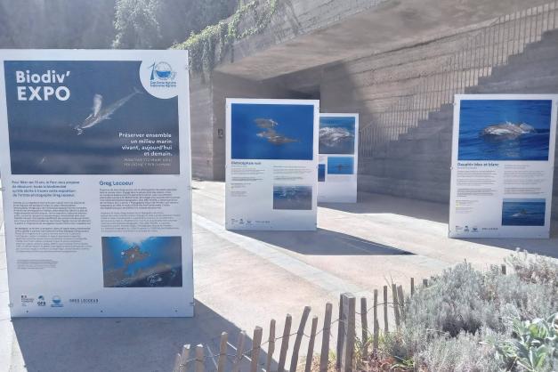A mostra Biodiv’expo pè festighjà i 10 anni di u parcu marinu di Capicorsu è di l’Agriate à l’Aldilonda in Bastia sin’à u 3 di nuvembre