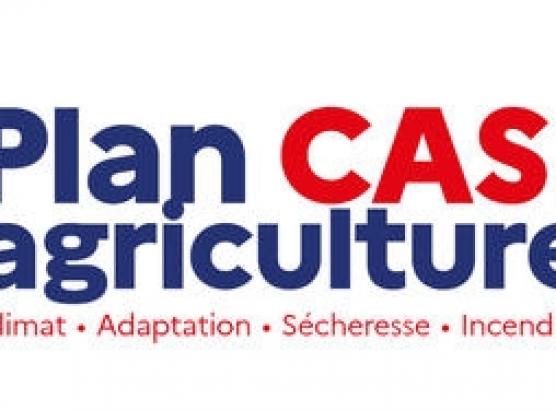 U pianu CASI pè sustene l’agricultori corsi vittime di a seccina