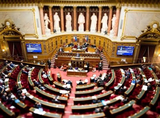 Dumenica d'elezzione senaturiale