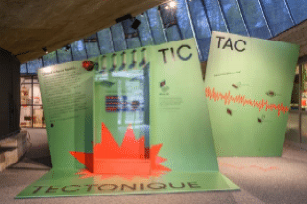 « Tic Tac Tectonique – Quandi a terra move », a nova mostra bislingua di a Casa di e Scenze in Bastia sin’à u 17 di lugliu 2027