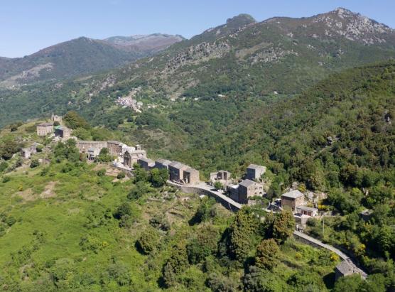 U ricorsu di a merria di Campi esaminatu da u cunsigliu di statu