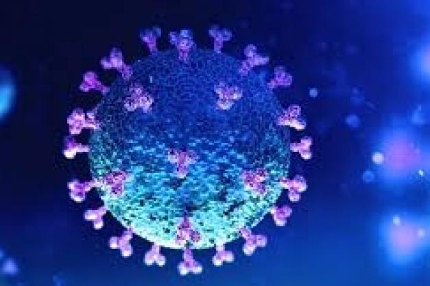 L'epidemia cresce appena in l'isula