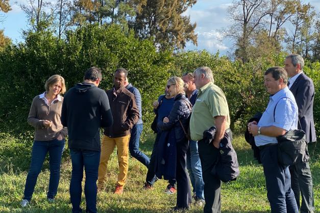 I presidenti di e 13 SAFER in Corsica